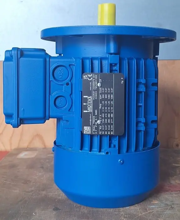 Moteur microstation tri peint BONANI.webp