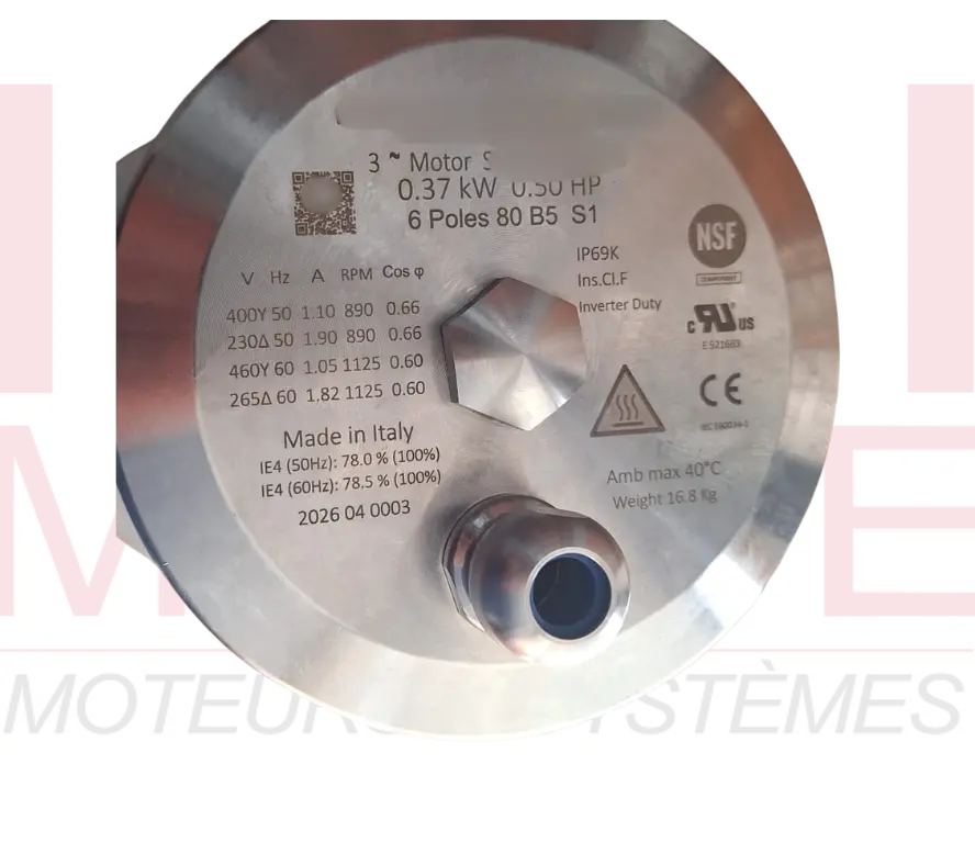 moteur épuration INOX 3.webp