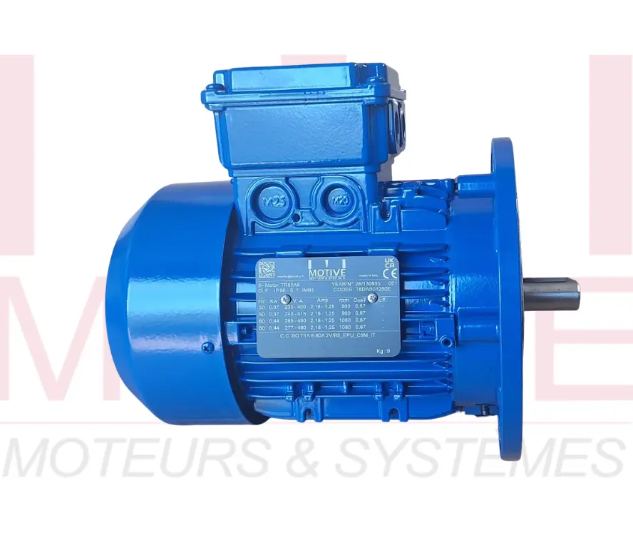 moteur micro station epuration.webp