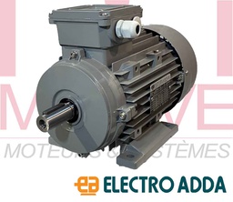 [GFEA  FT2A 2-801 2V] Moteur électrique triphasé 230/400v 3000 tr/min 0,75kw