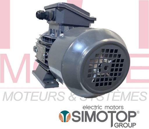 [GFSI T3A 2-100L 4V] Moteur électrique triphasé 400/690V 3000 tr/min 3kw 